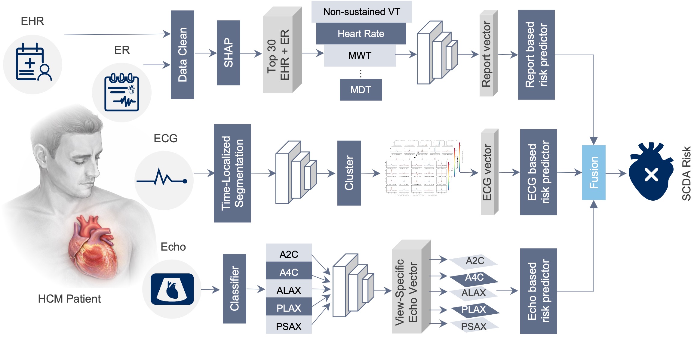 We translate AI models toward clinical questions such as sudden cardiac ...